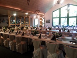 alleinunterhalter-hochzeit-geburtstag-kosten