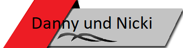 Musiker Alleinunterhalter